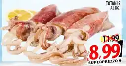 Il Genio Supermercato Totani s offerta