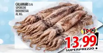 Calamari sporchi Indonesia