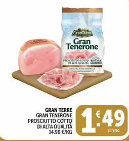 Deco Maxistore Gran Terre Gran Tenerone Prosciutto Cotto di Alta Qualità offerta