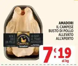 Deco Maxistore Busto di pollo Amadori offerta