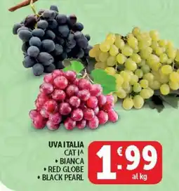 Deco Maxistore Uva Italia offerta