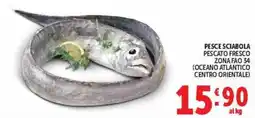 Deco Maxistore Pesce sciabola offerta