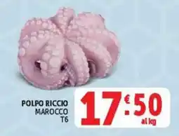 Deco Maxistore Polpo riccio Marocco T6 offerta