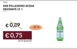 Prezzemolo e Vitale San Pellegrino acqua frizzante offerta