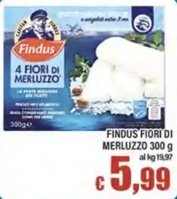 Top Supermercati Findus Fiori di Merluzzo offerta