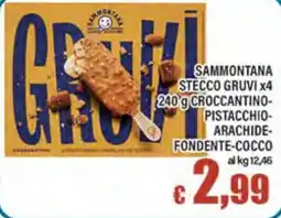 Top Supermercati Sammontana Stecco Gruvi offerta