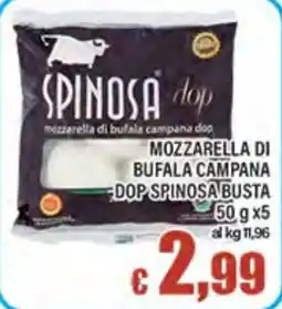 Top Supermercati Mozzarella di bufala campana dop spinosa offerta