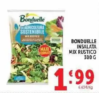 Bonduelle insalata mix rustico
