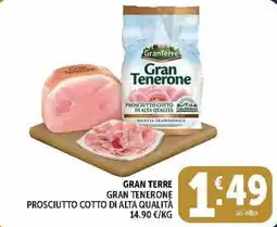 Deco Market Gran Tenerone Prosciutto Cotto di Alta Qualità offerta