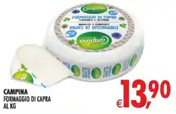 Deco Superstore Campina Formaggio di capra offerta