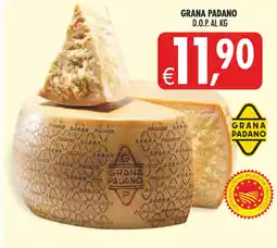 Deco Superstore Grana Padano offerta