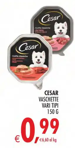 Deco Superstore Cesar vaschette vari tipi offerta