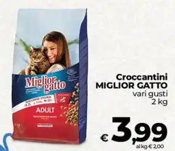 Coop Radenza Croccantini Miglior Gatto offerta