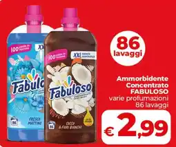 Coop Radenza Ammorbidente Concentrato FABULOSO offerta