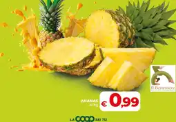 Coop Radenza Ananas offerta