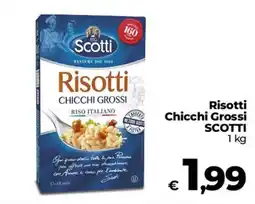 Coop Radenza Risotti Chicchi Grossi Scotti offerta