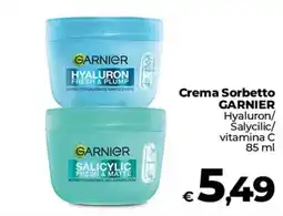 Coop Radenza Crema Sorbetto GARNIER offerta