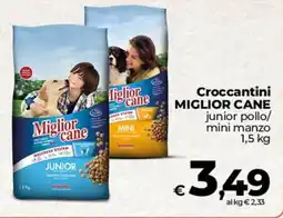Coop Radenza Croccantini Miglior Cane junior offerta