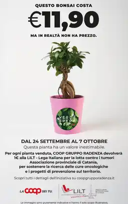 Coop Radenza Bonsai Verde Speranza offerta