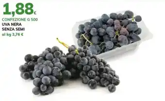 Uva nera senza semi