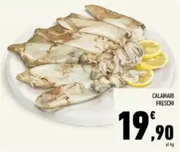 Conad Tuday Calamari freschi offerta