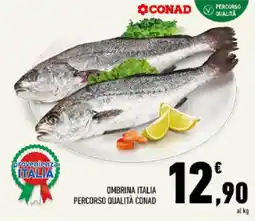 Conad Tuday Ombrina Italia offerta