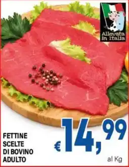 DEM Fettine scelte di bovino adulto offerta
