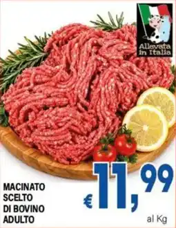 DEM Macinato scelto di bovino adulto offerta