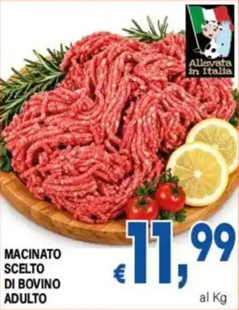 DEM Macinato scelto di bovino adulto offerta