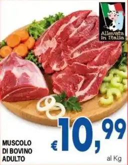 DEM Muscolo di bovino adulto offerta