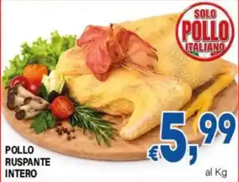DEM Pollo ruspante intero offerta