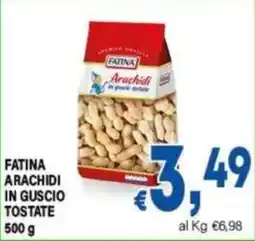 DEM Fatina arachidi in guscio tostate offerta