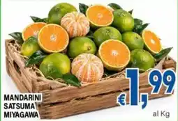 DEM Mandarini Satsuma Miyagawa offerta