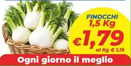 DEM Finocchi offerta