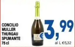 DEM Concilio Muller Thurgau Spumante offerta