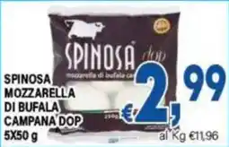 DEM Spinosa mozzarella di bufala campana dop offerta