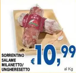 DEM Salame Milanetto/Ungheresetto offerta