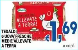 DEM Tedaldi 6 uova fresche medie allevate a terra offerta