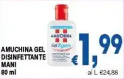 DEM Amuchina gel disinfettante mani offerta