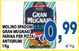 DEM Molino Spadoni Gran Mugnaio farina per pizza antigrumi offerta