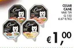 Coal Cesar cane offerta