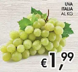 Coal Uva Italia offerta