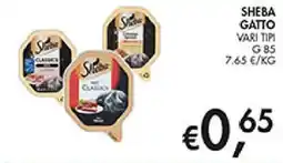 Coal Sheba Gatto Vari Tipi offerta