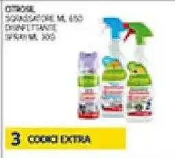 Coal Detergente spray offerta