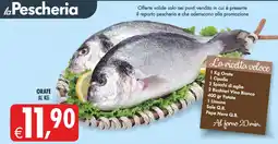 Decò Local Orate offerta