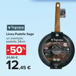 Carrefour Tognana Padella Sage offerta