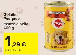 Carrefour Gelatina Pedigree offerta
