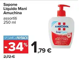 Carrefour Sapone Liquido Mani Amuchina offerta