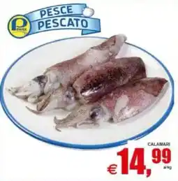 Pewex Calamari offerta