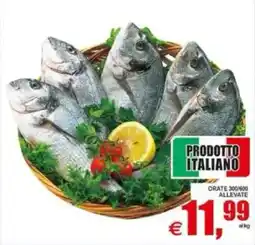 Pewex Oraie offerta